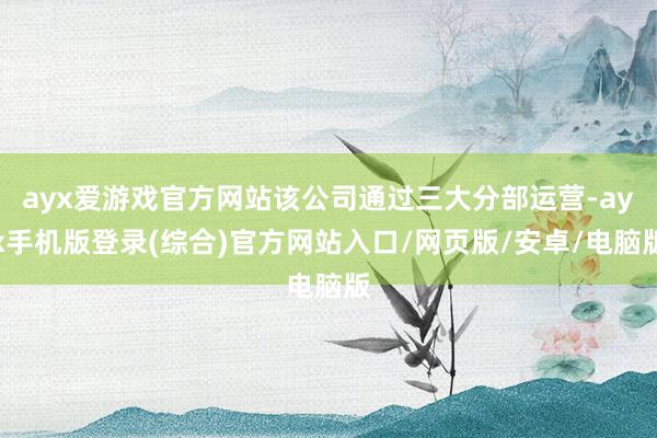 ayx爱游戏官方网站该公司通过三大分部运营-ayx手机版登录(综合)官方网站入口/网页版/安卓/电脑版