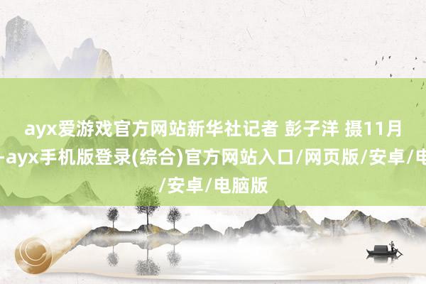 ayx爱游戏官方网站新华社记者 彭子洋 摄　　11月14日-ayx手机版登录(综合)官方网站入口/网页版/安卓/电脑版