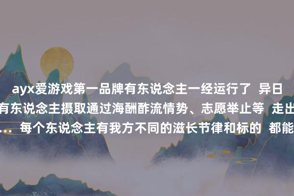 ayx爱游戏第一品牌有东说念主一经运行了  异日博士阶段的课