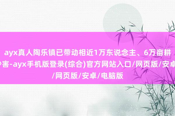 ayx真人陶乐镇已带动相近1万东说念主、6万亩耕地免受沙害-